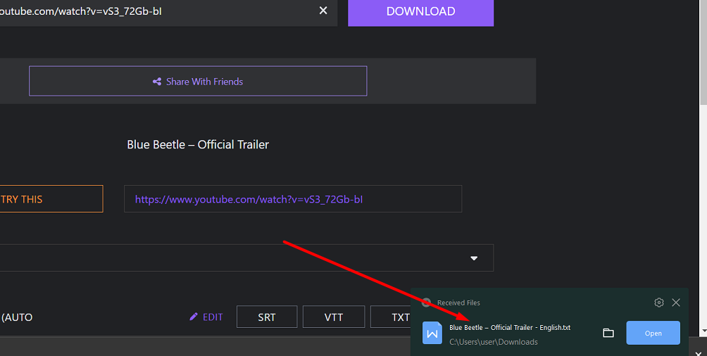 Choose the format you prefer and click on the download button. The subtitles will download to your computer.