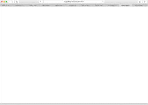 about.blank on apple safari