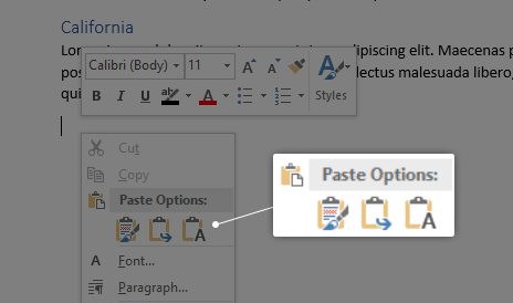 Paste Options in Word