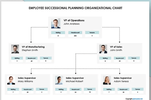 employee succession planner template