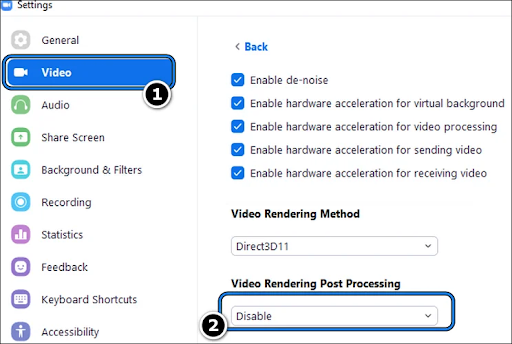 Change Zoom video rendering method to Direct3D9