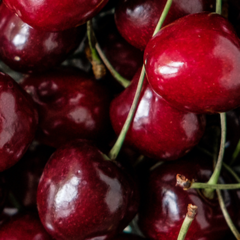 Bing Cherry Season