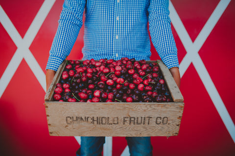 Types of Cherries