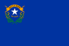 Nevada-Staatsflagge