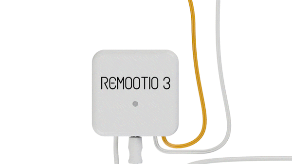 Remootio configure le rythme clignotant