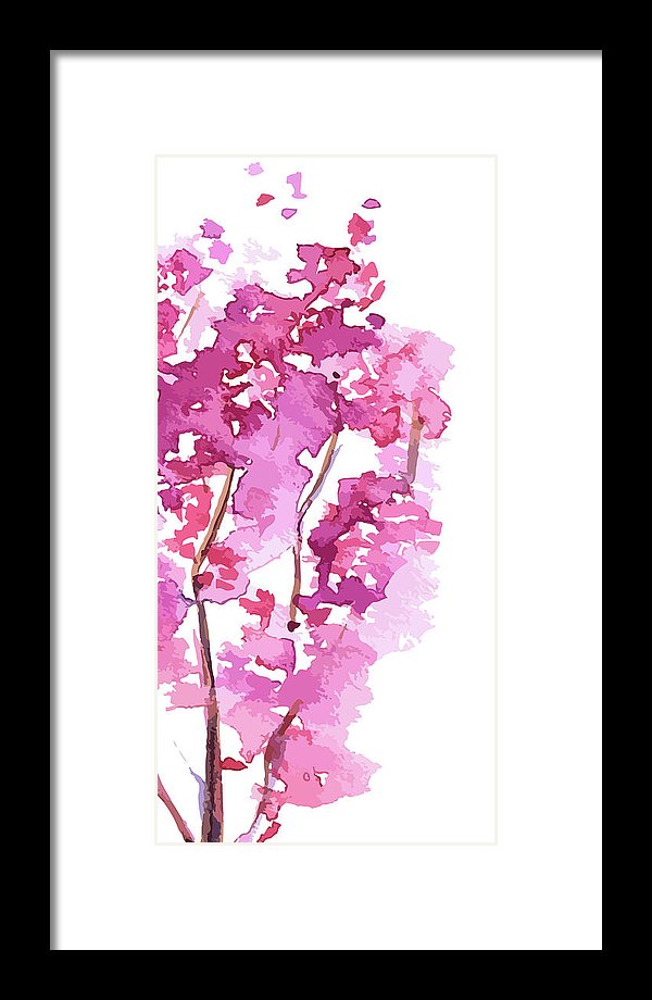 Watercolor Cherry Blossom Painting - Framed Print from Wallasso - The Wall Art Superstore