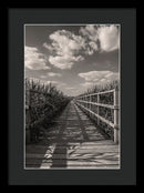 Boardwalk Leading Through Plants - Framed Print from Wallasso - The Wall Art Superstore