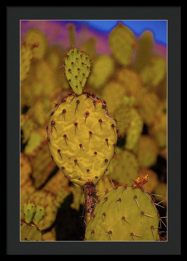 Colorful Prickly Pear Paddle Cactus Thorns - Framed Print from Wallasso - The Wall Art Superstore