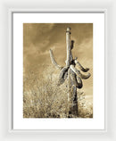 Yellow Tone Saguaro Cactus - Framed Print from Wallasso - The Wall Art Superstore