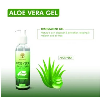 Wild Organic Aloevera Gel Transparent (120 gm) – BeautynHerbs