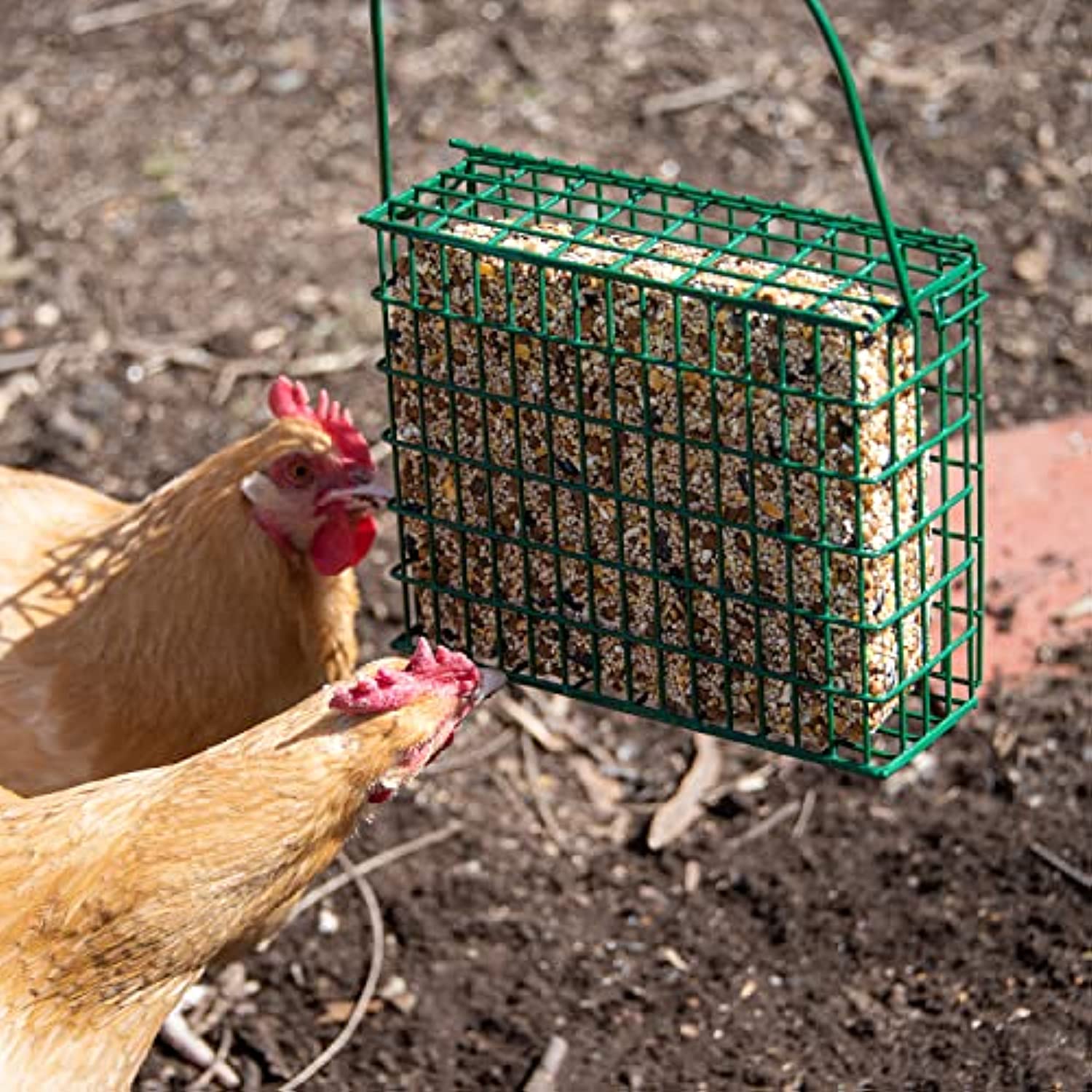 C&S CS749 EZ Fill Seed Cake Snak TM Feeder, 1 Ounces, Green