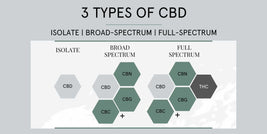 3 Types of CBD