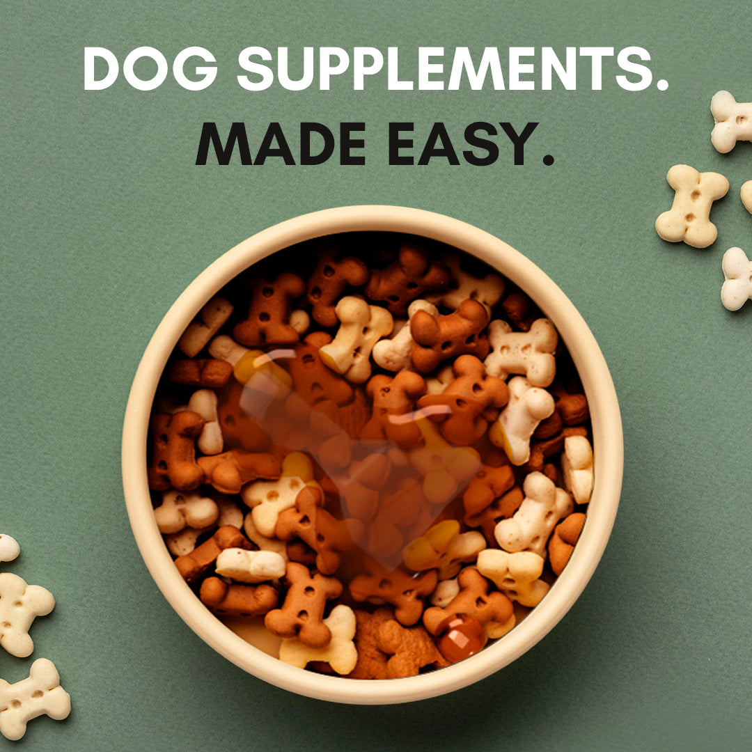 dog multivitamin gravy