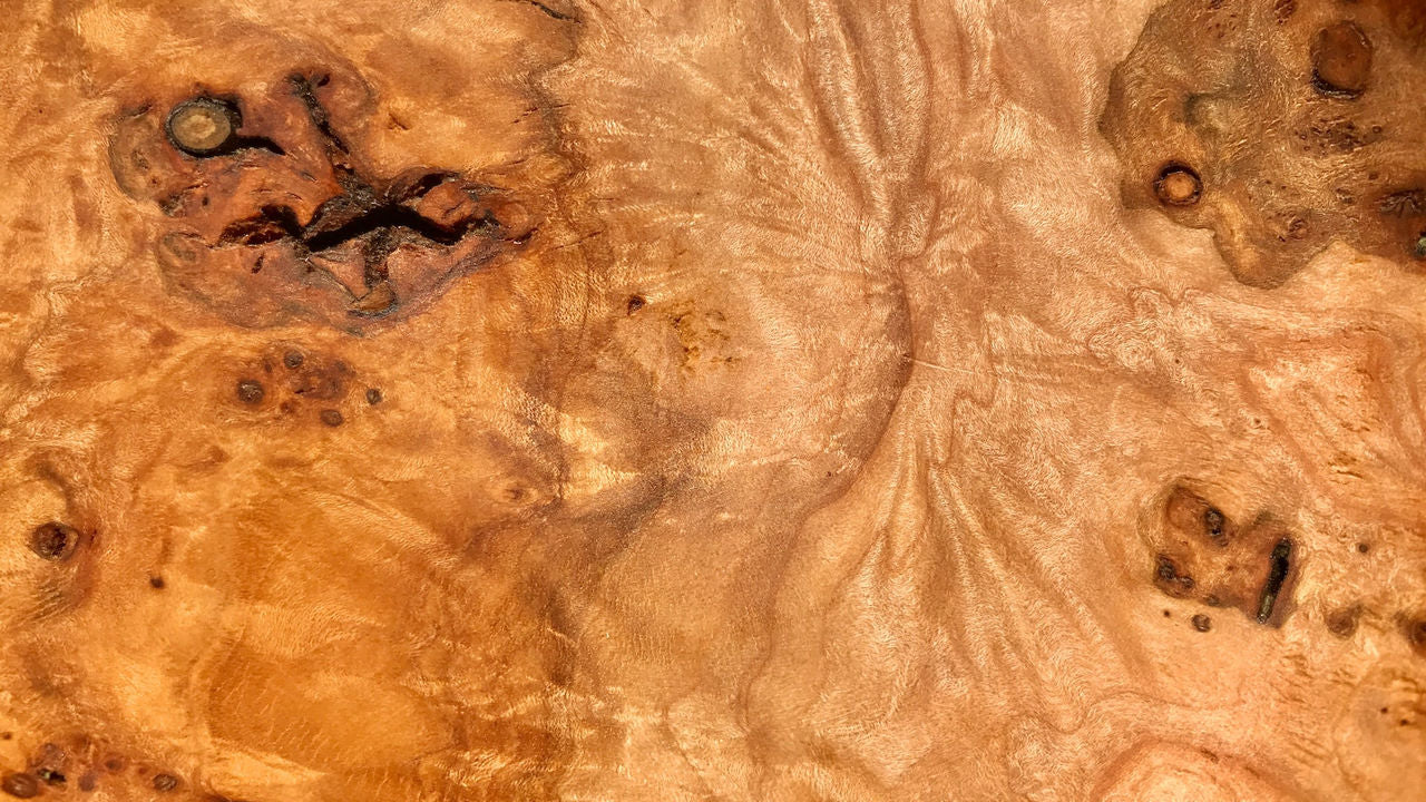 Close Up of Wood Burl