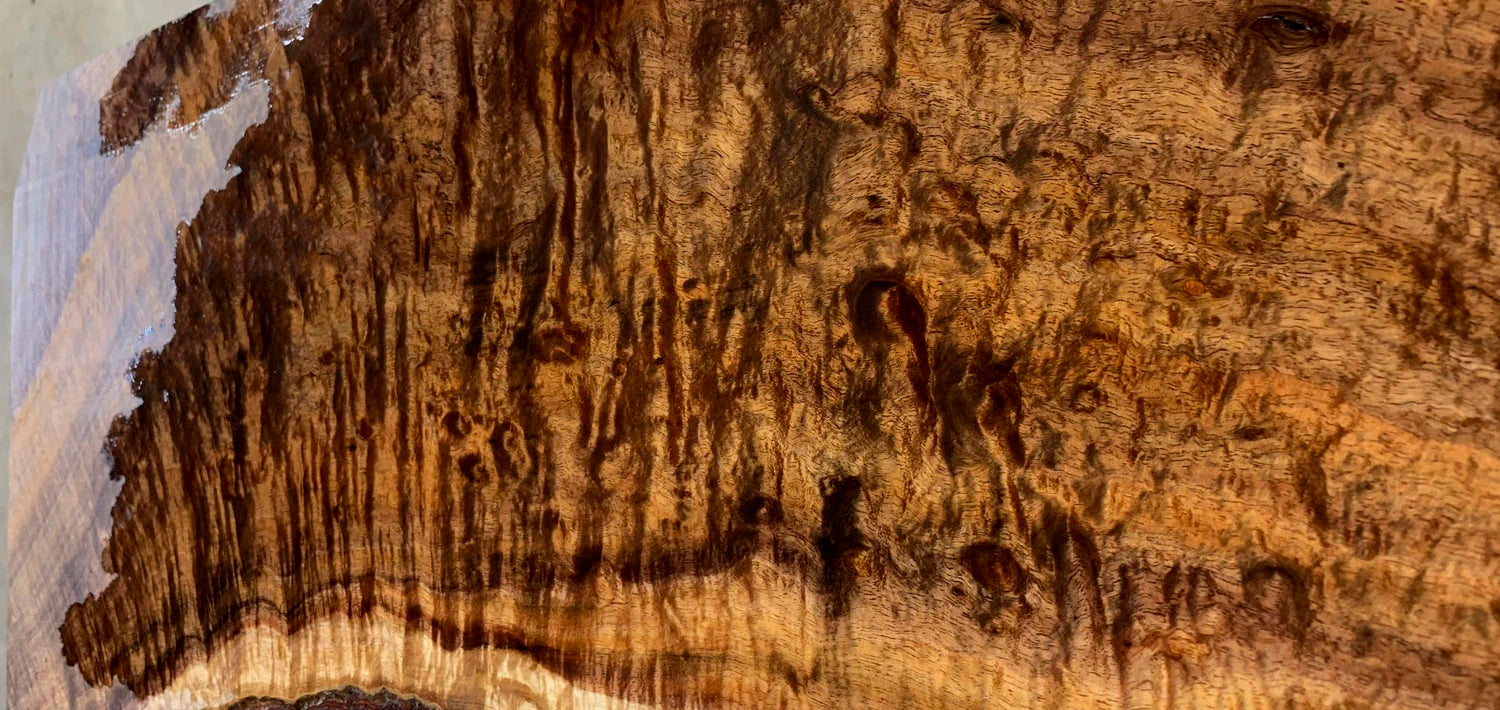 Chatoyance of Tasmanian Blackwood