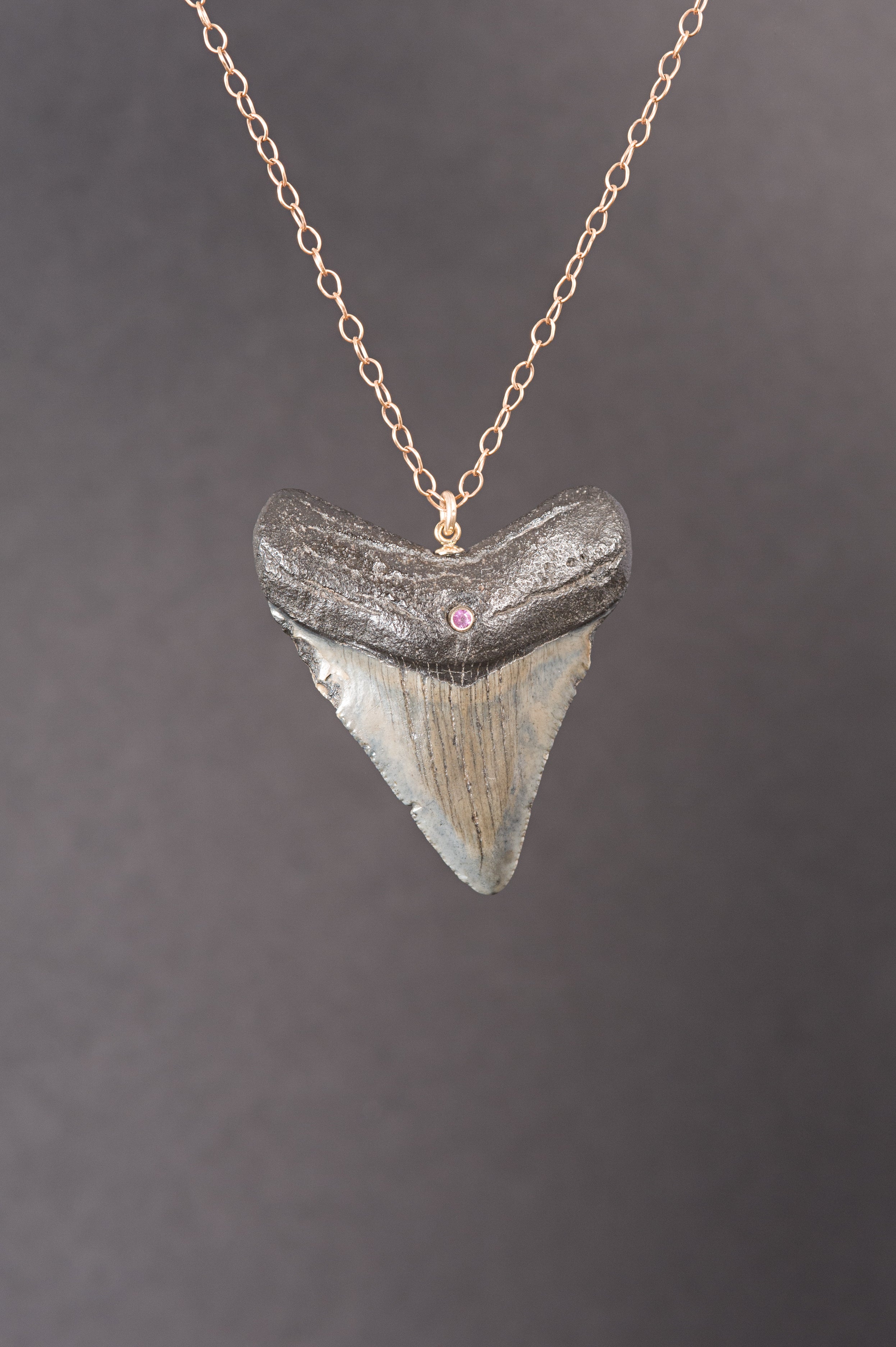 megalodon shark tooth necklace