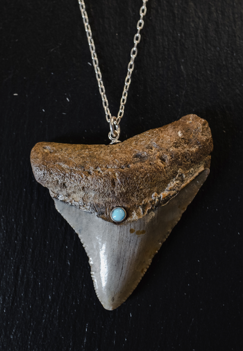 megalodon shark tooth necklace