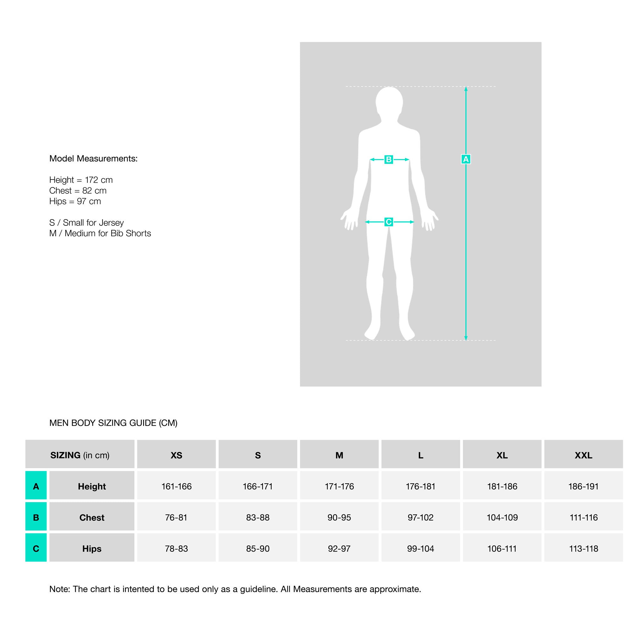 Size Guide – Ascender Cycling Club