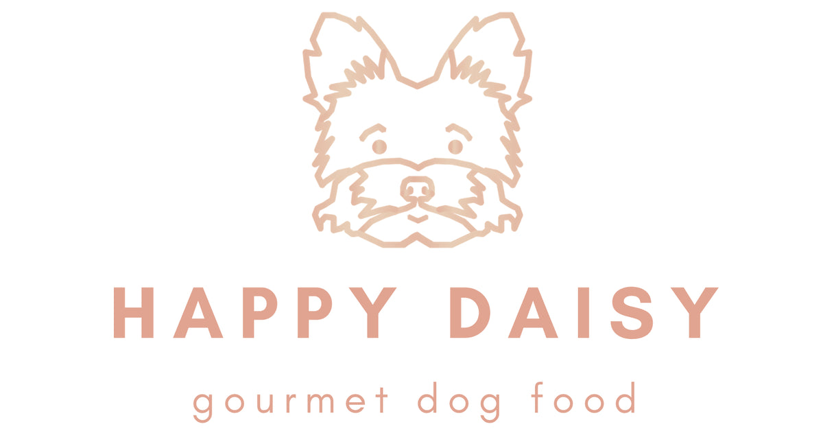 Happy Daisy Gourmet Dog Food