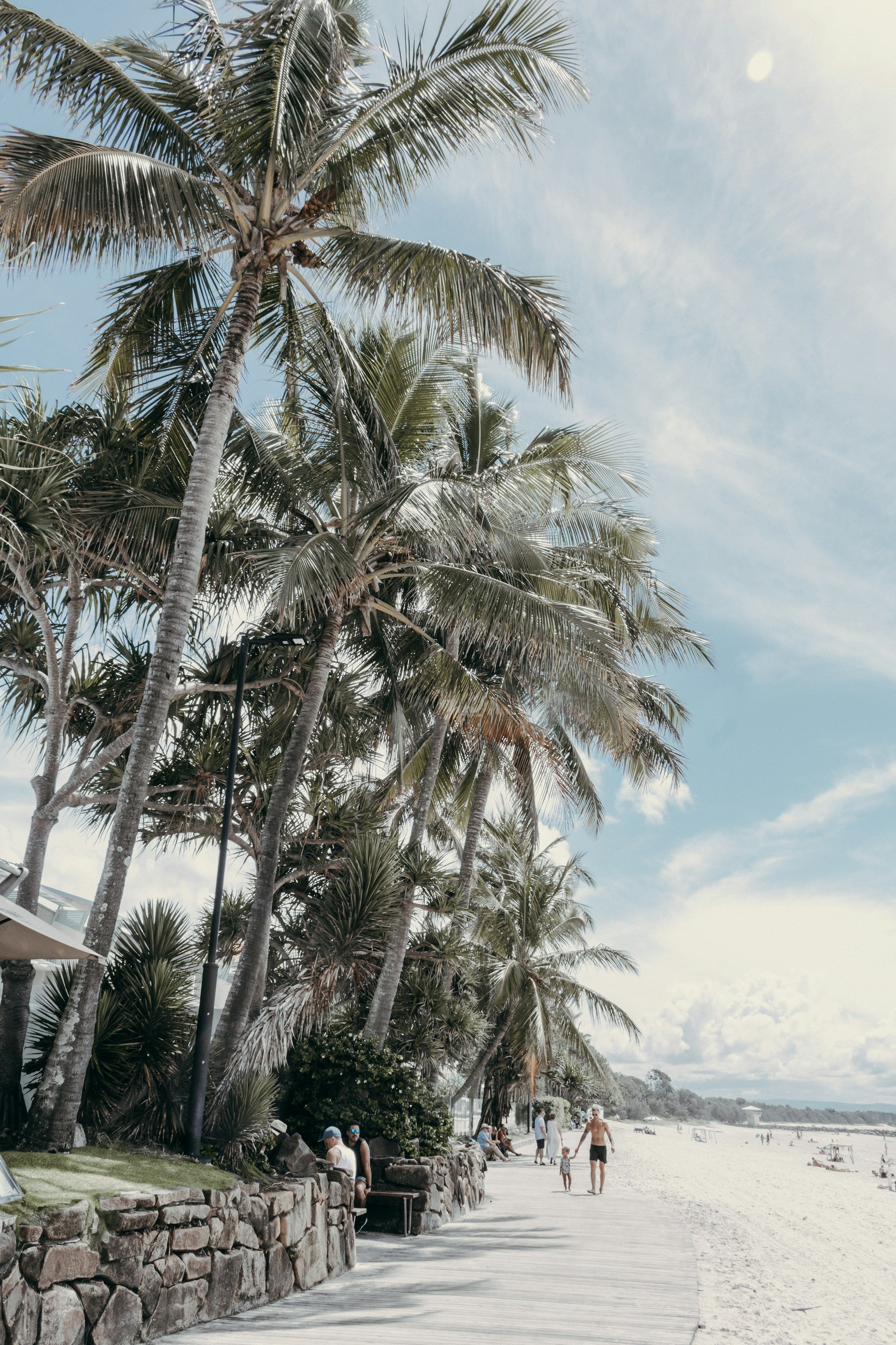 Noosa Palms