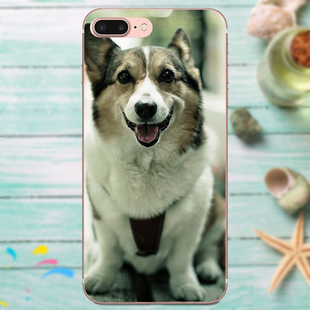 coque huawei p30 pro husky