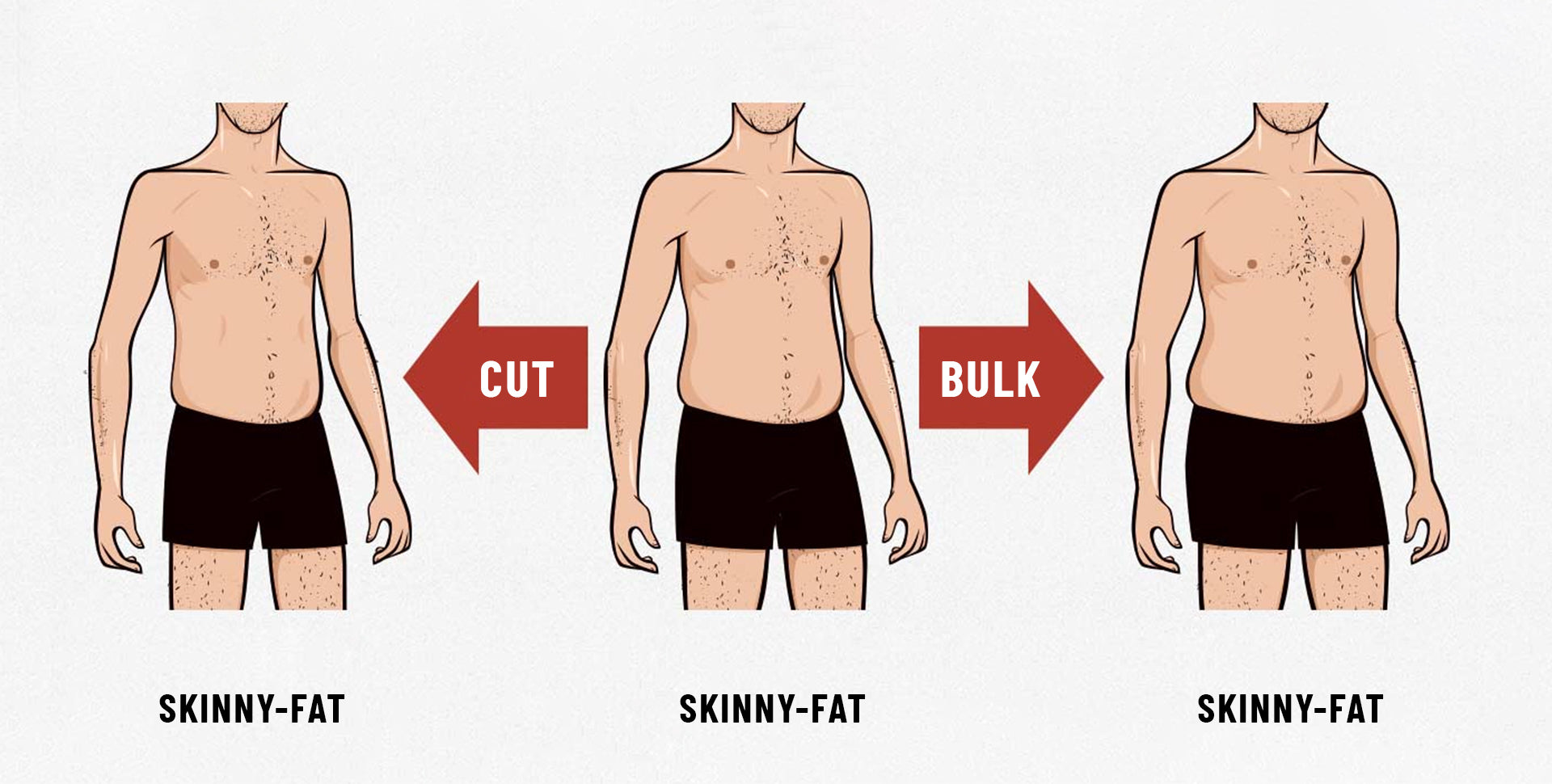 What is Skinny Fat? Causes, Preventions, Health Risks & Remedies Born