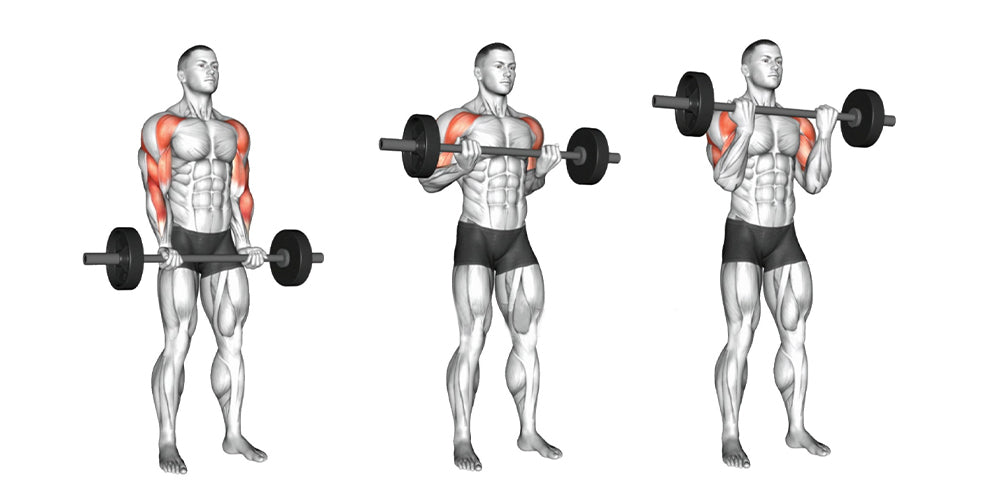 10 Best Barbell Workouts for Biceps Size and Strength – Born Tough