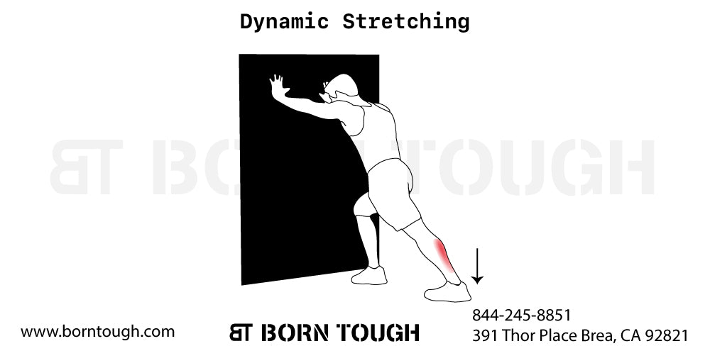 Dynamic Stretching