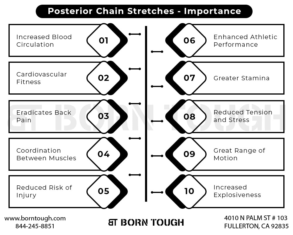 Importance of Posterior Chain Stretches
