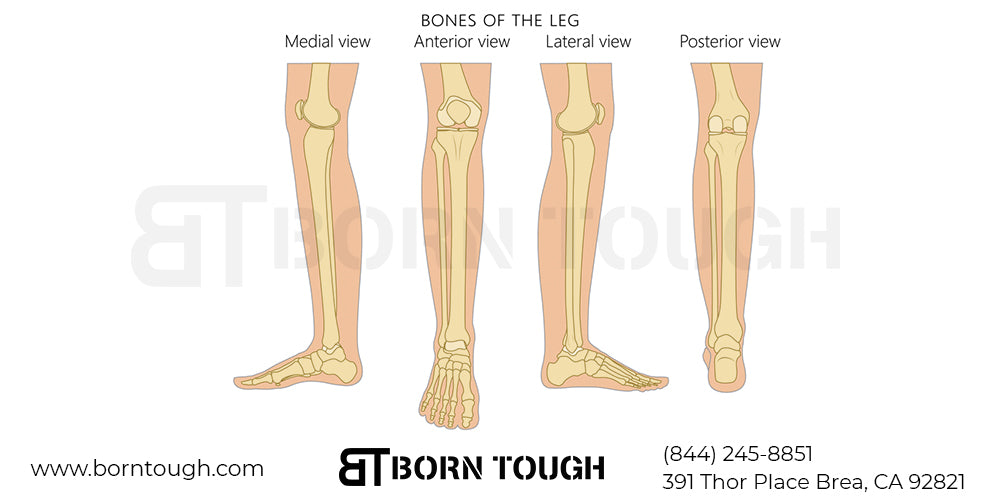 Two Main Types of Shin Splints