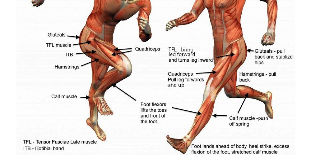 Types of Calf Pain While Running