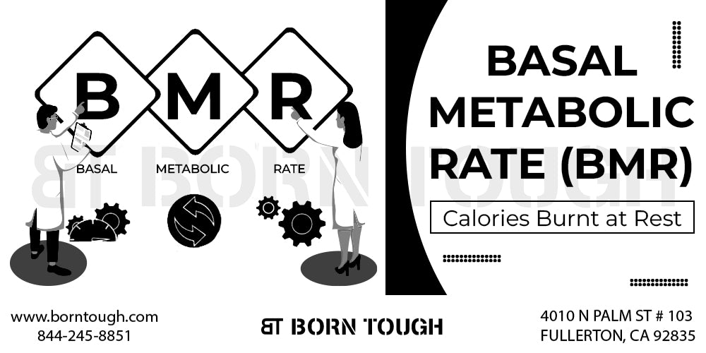 Understanding Basal Metabolic Rate (BMR)