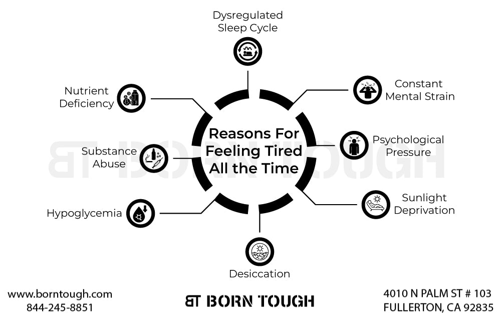 infoGraphics-Reasons For Feeling Tired All the Time