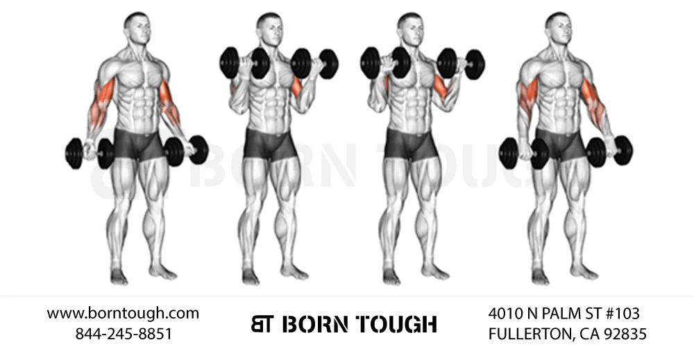 Best Biceps Cable Curls: Variations and Workouts – Born Tough