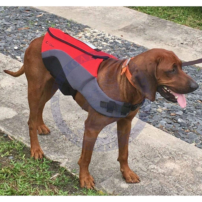 Lifejacket: NEOPRENE PET VEST