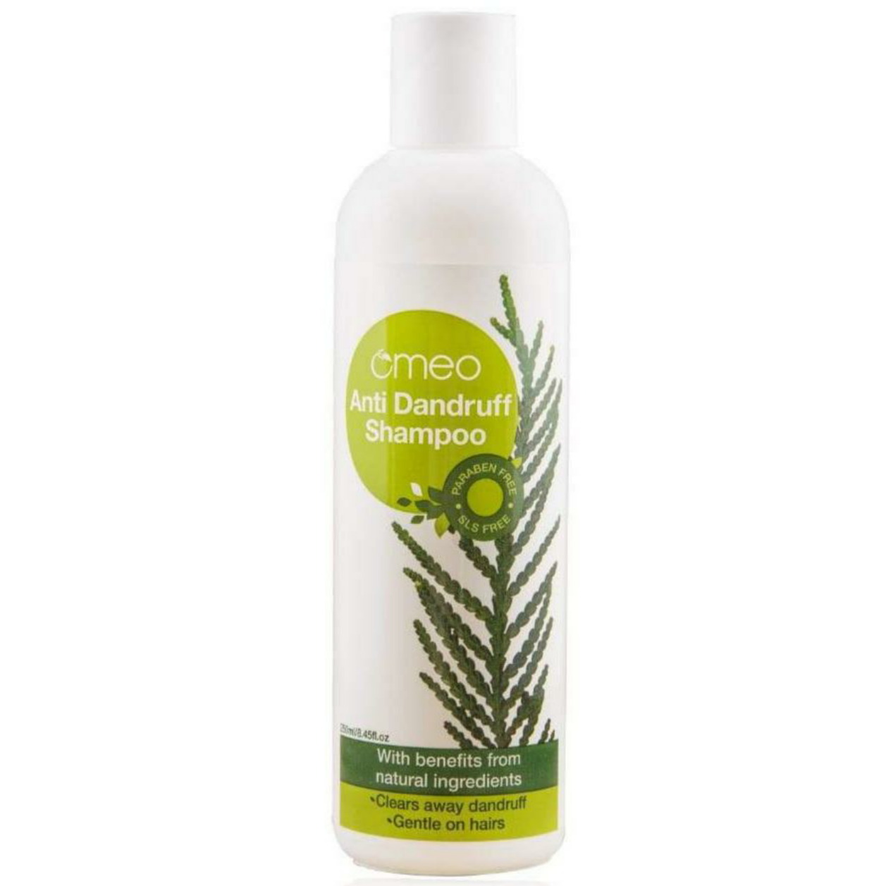 Buy Arnica Shampoo  Omeo Silk and Shine Conditioner Online  265 from  ShopClues