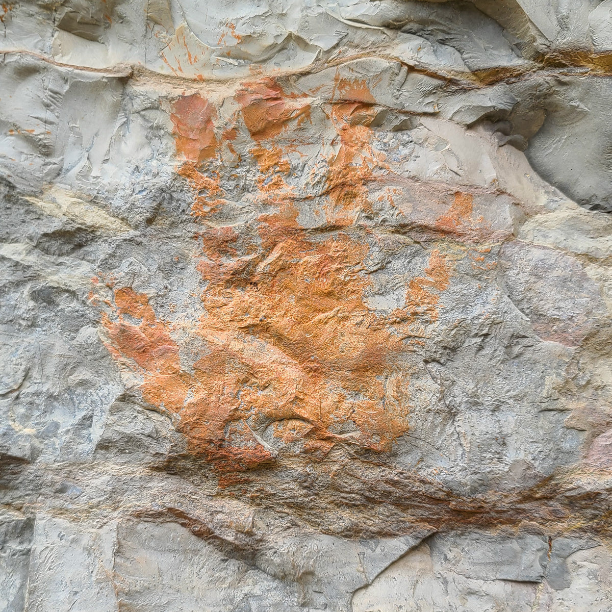 smith river pictograph