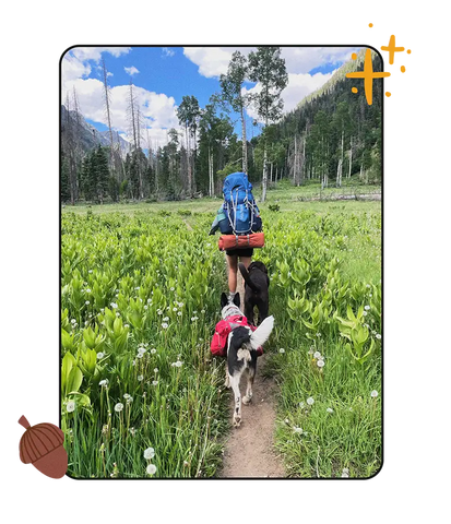 backpacker walks through a field of flowers with her two dogs behind her
