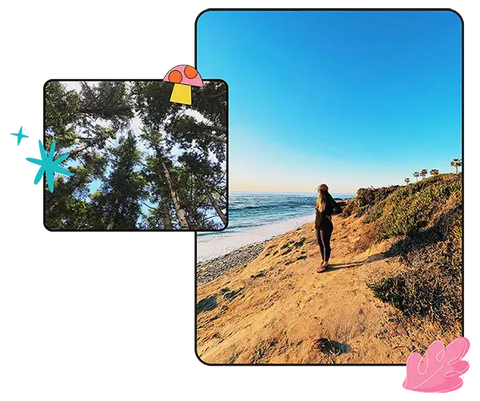 two images overlap. one image is a ground view of the sky in a dense forest, the other is an image of a girl standing on the beach looking out to the ocean