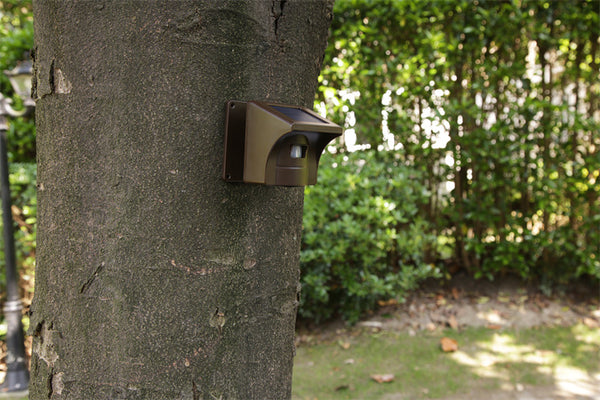 driveway alarm sensor