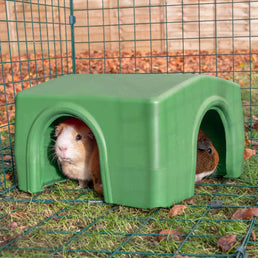 Zippi Shelters are perfect for guinea pigs