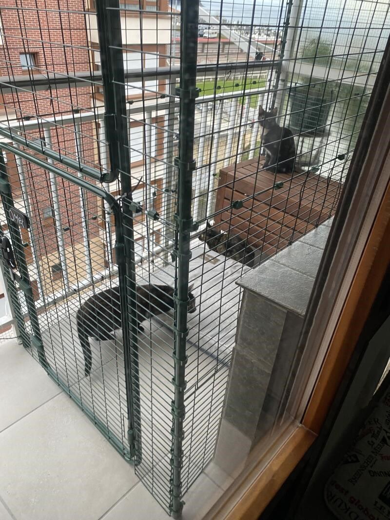 Ideas for Balcony Cat Enclosure