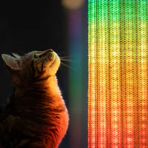 APP-Switch-Light-Up-LED-Cat-Scratching-Post-interactive-cat.jpg__PID:fda5d5ce-9c55-4e48-8c5b-8644b138183e