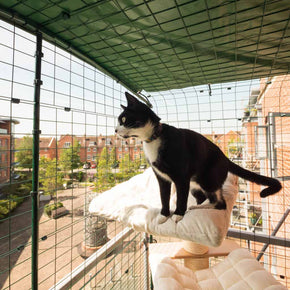 APP-cat-kitten-balcony-enclosure-safe-cat-proof-solution-omlet.jpg__PID:f1ce4009-3c9a-4318-bdca-19e366bb708b