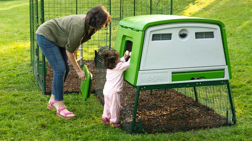 Children can get involved with keeping chickens in the Eglu Cube