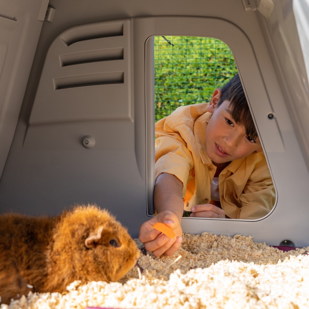 Omlet make easy care Guinea Pig Hutches