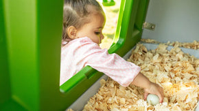 Eglu Cube chicken coop, get fresh eggs straight from your garden