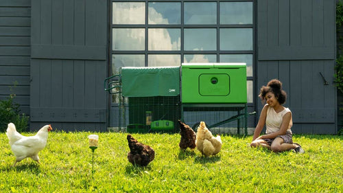 Eglu Cube large chicken coop