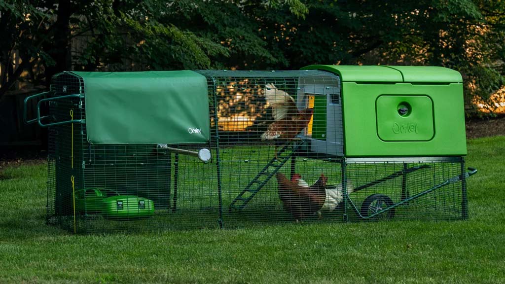 Hens are secure and protected from the weather and predators in an Eglu Cube