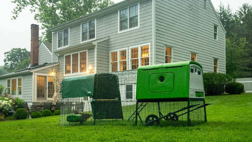 Omlet Cube with a run is perfect for any backyard